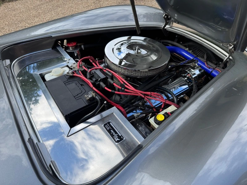COBRA DE PILGRIM MOTORSPORTS, V8 5,7