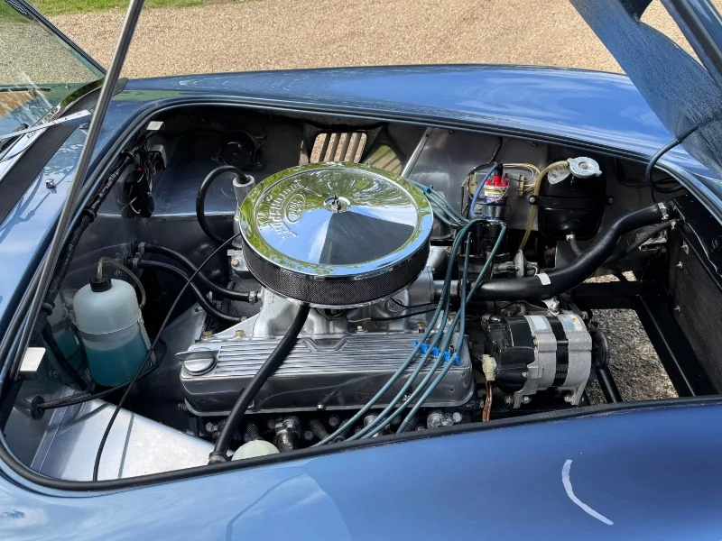 COBRA 289 MK11 BRA