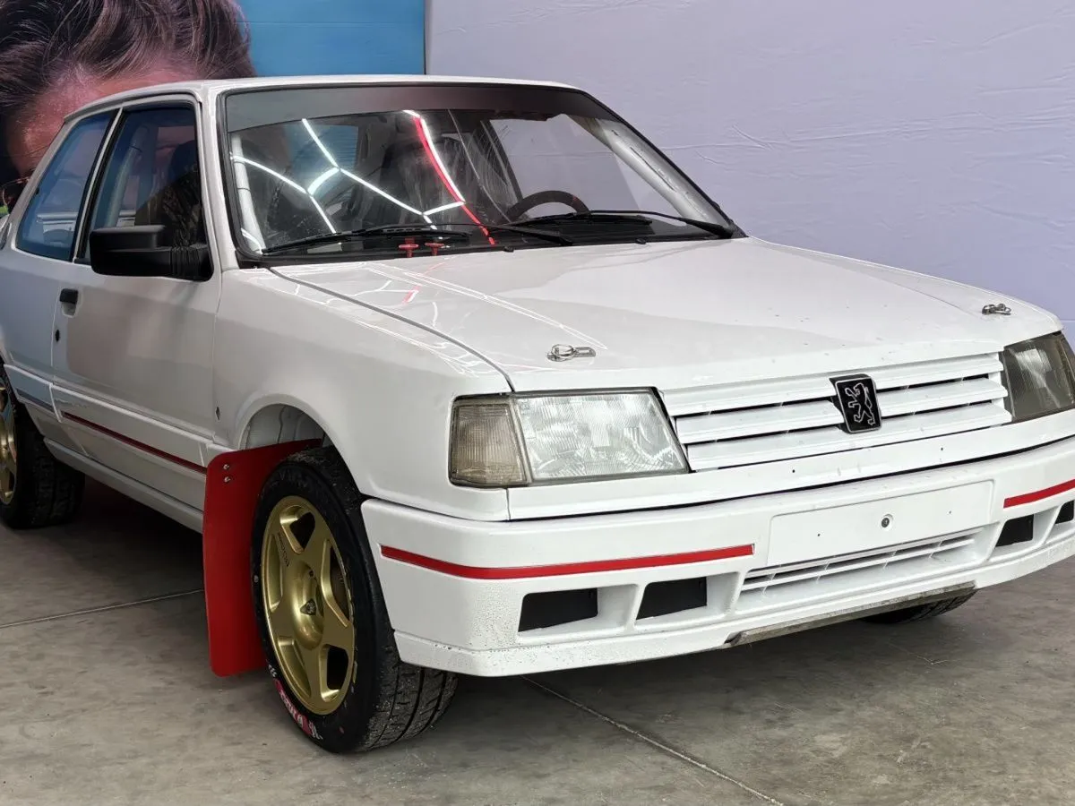 Peugeot 309 16S, Group A (small class) / FIA PTH – photo 1