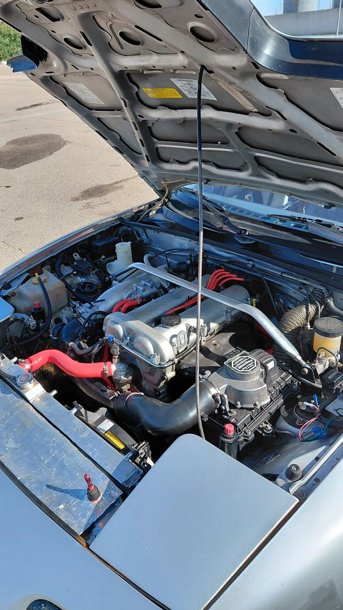 Mazda MX-5 na Roadster Pro Cup – photo 3