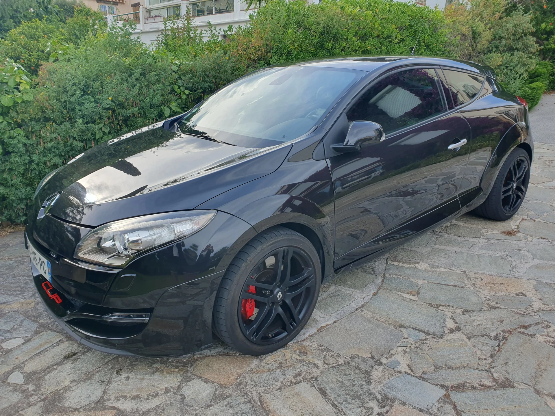 Megane 3 rs cup luxe