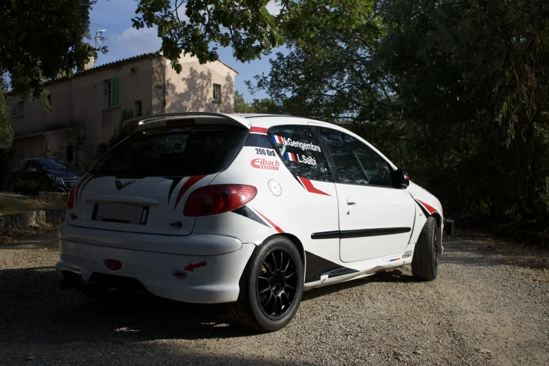 Peugeot 206 RC Groupe A7 - FRC4