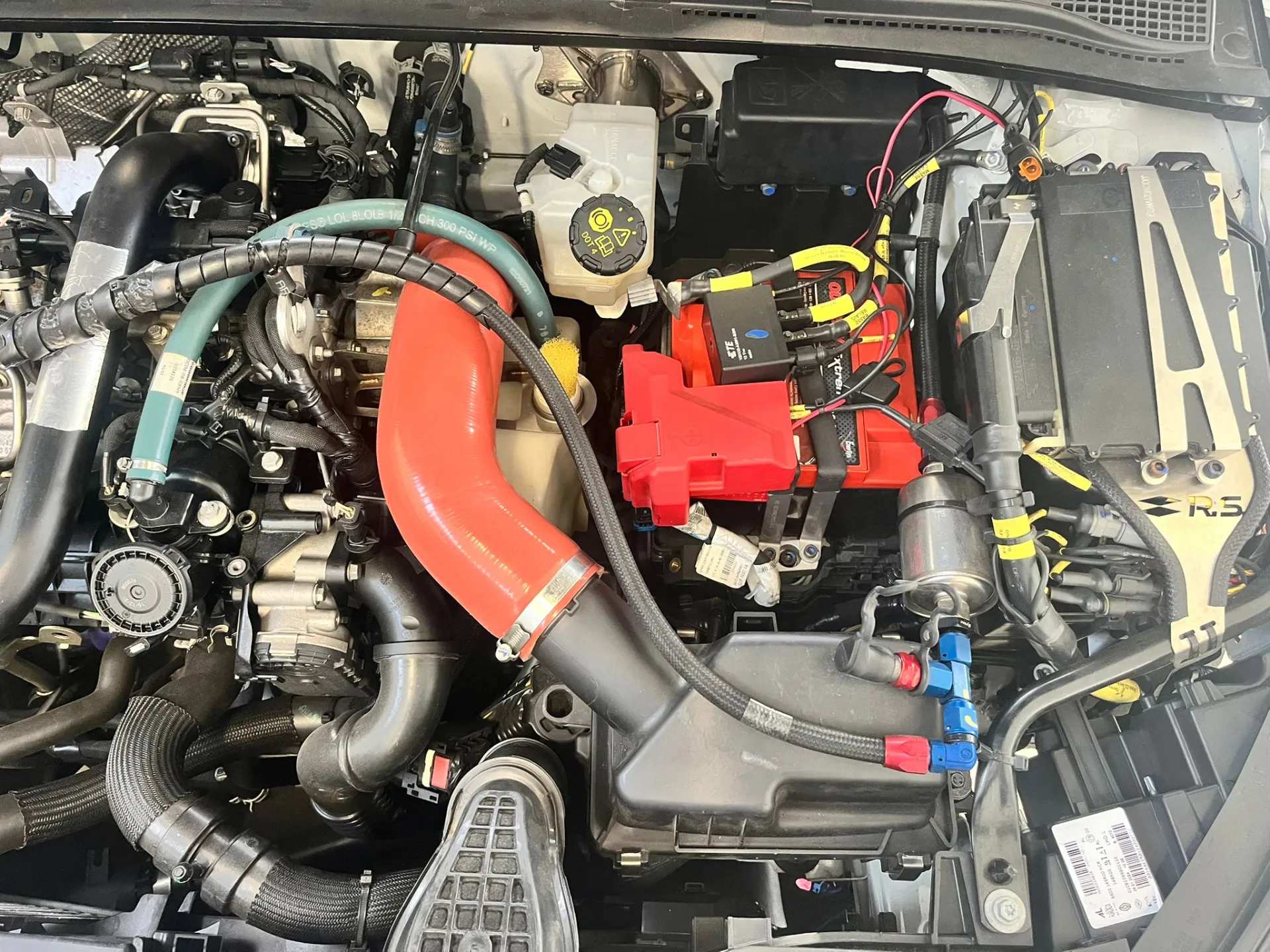 RENAULT CLIO CUP V – photo 4