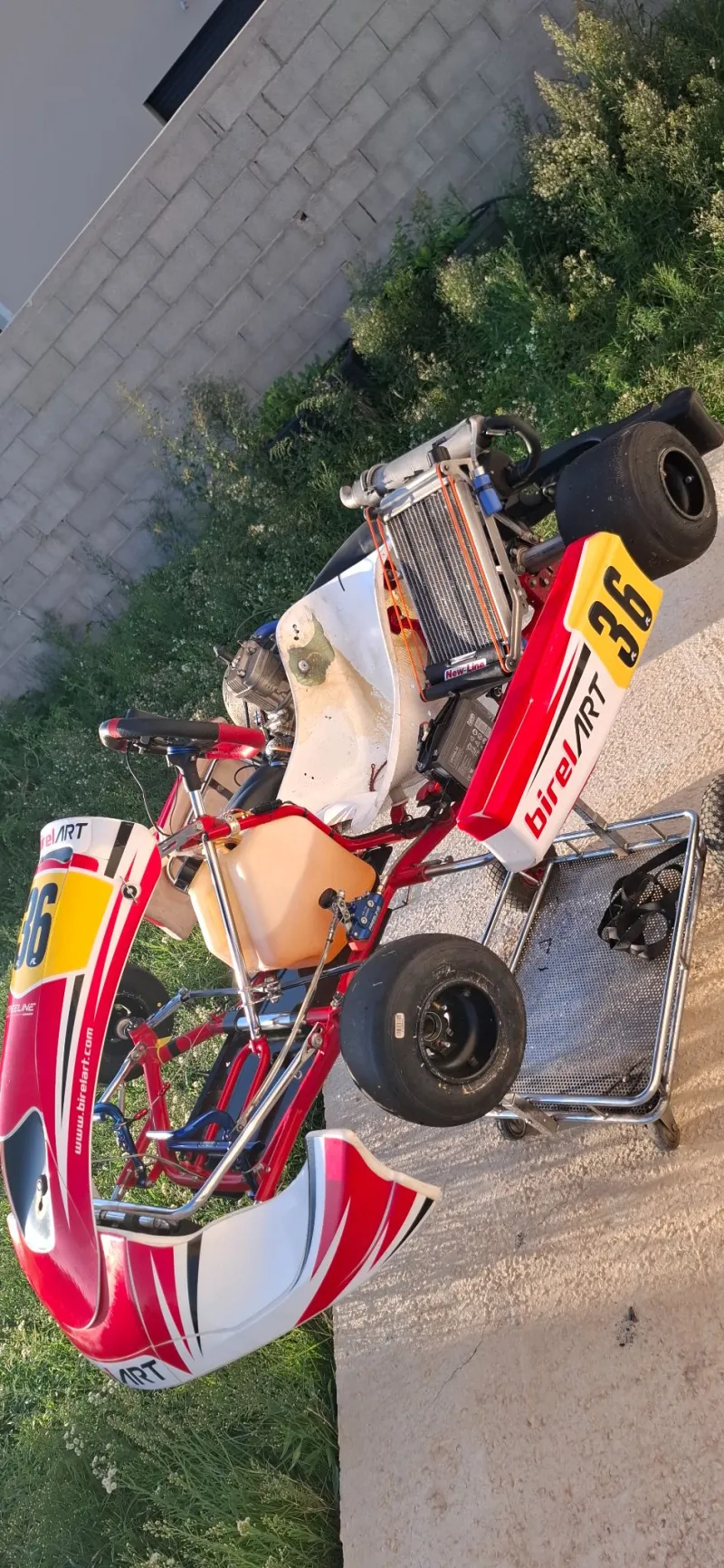 Birel Art x30 Karting