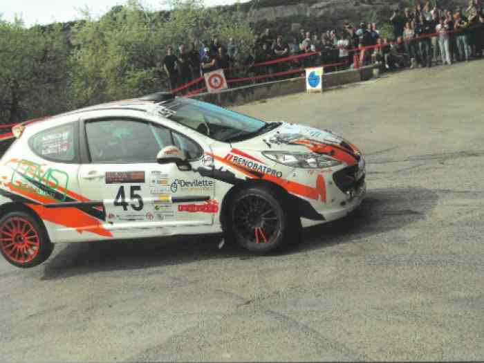 Peugeot 207 RC - A8