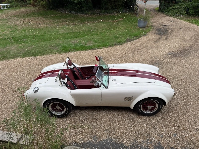 COBRA DE GARDNER DOUGLAS, CHÂSSIS MK4 EURO, V8 LS3 – photo 4