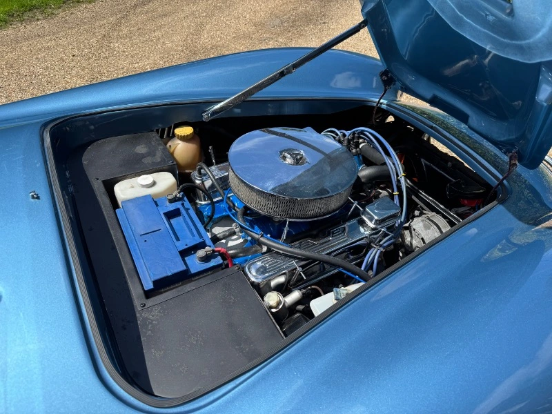 COBRA DE PILGRIM MOTORSPORTS, V8 3,5
