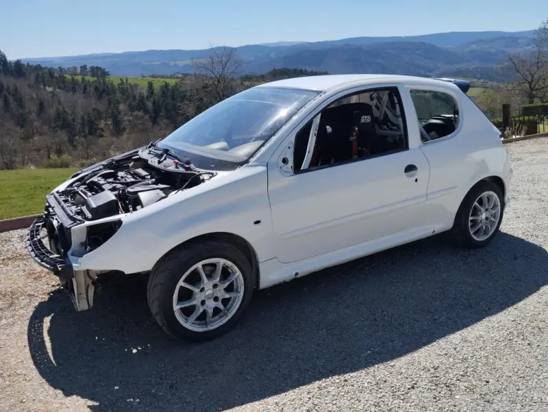 206 n2s peinture neuve