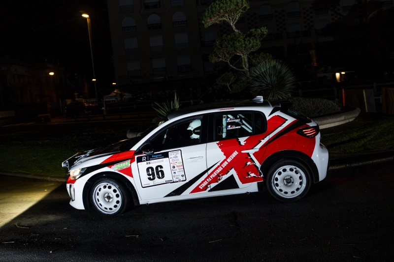 PEUGEOT 208 FR6