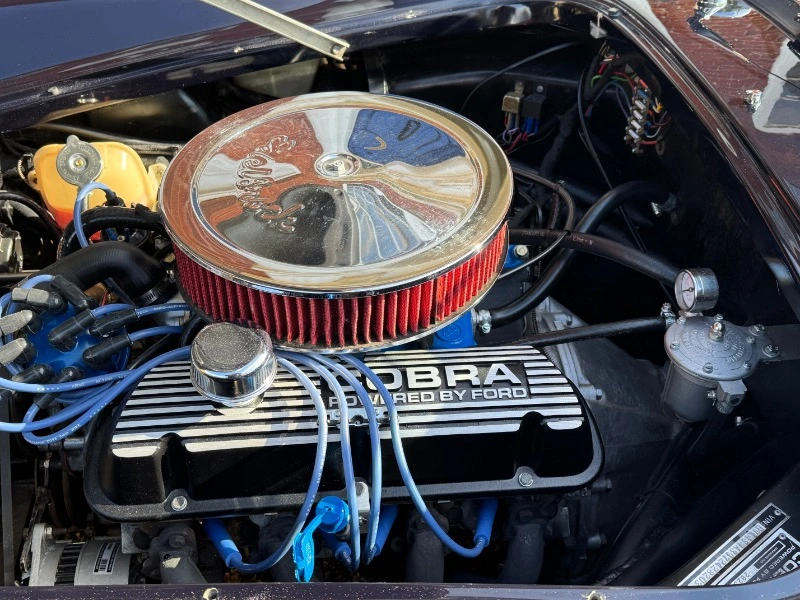 COBRA RAM SC V8