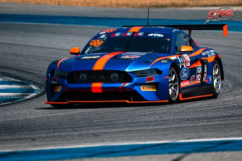 Mustang Marc II 2021