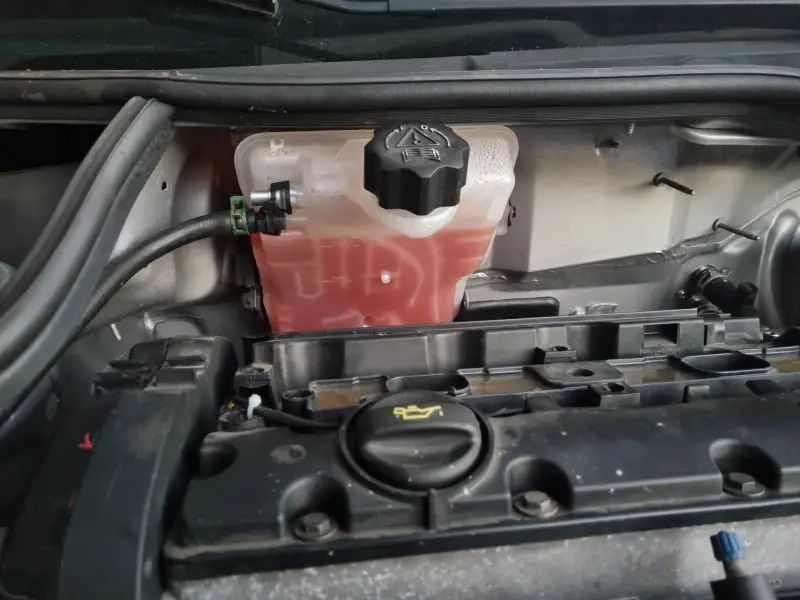 206 clear coolant bottle