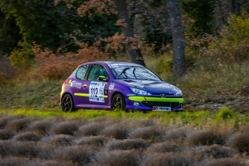 Peugeot 206 XS N2S