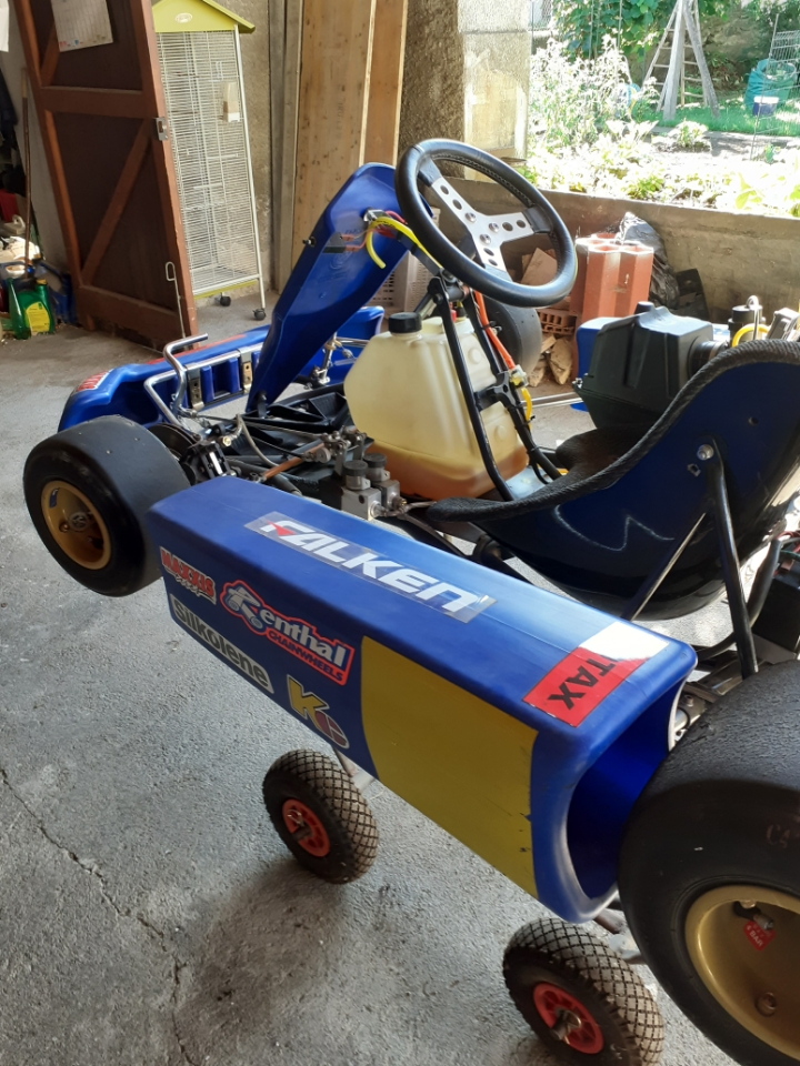 Rotax Max 125cc karting for sale