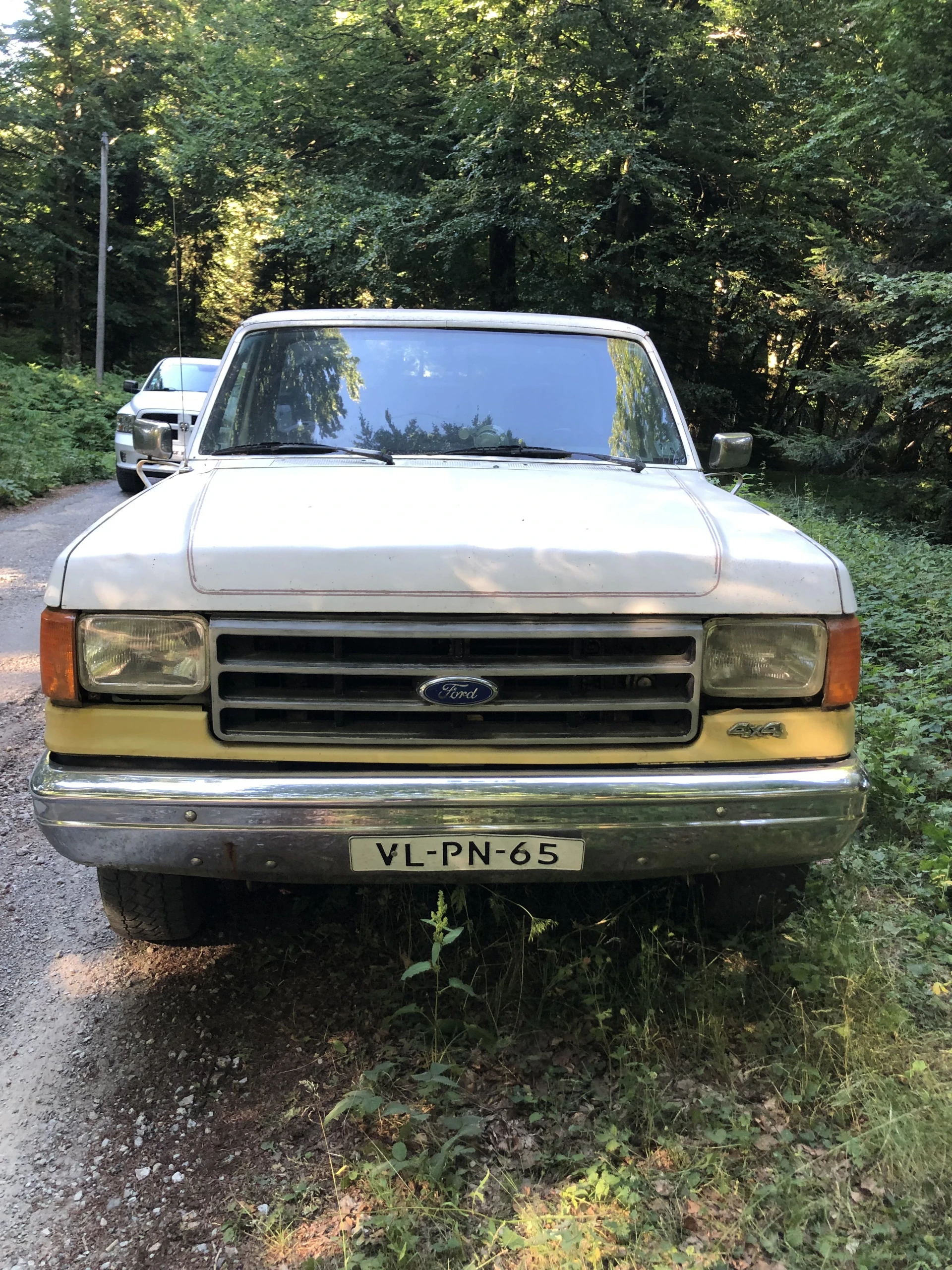 Sell pick up FORD F150 to restore
