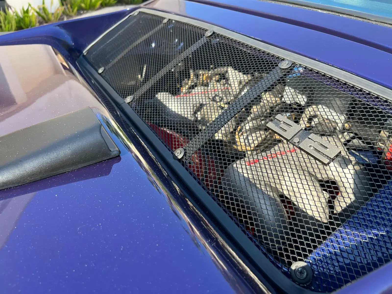 Porsche 911 G Targa turbo look 3.2 – photo 4