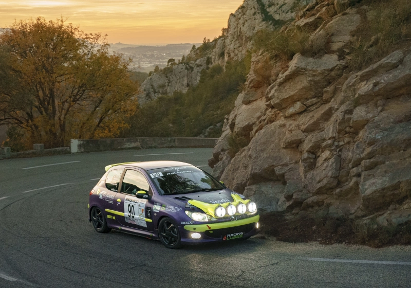 Peugeot 206 XS N2S