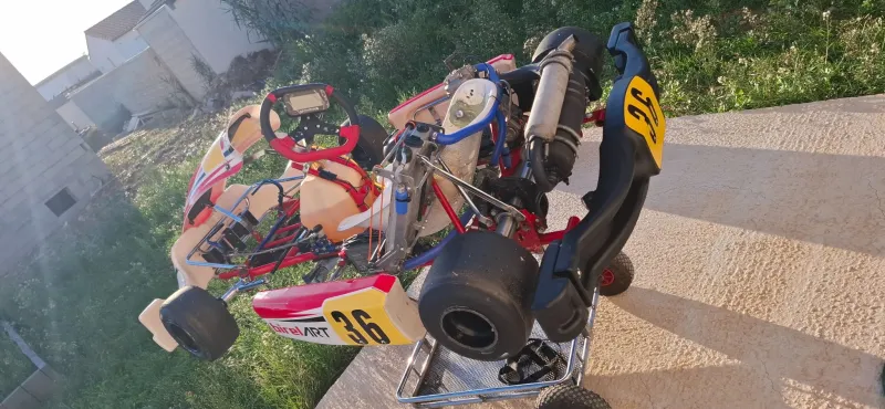 Birel Art x30 Karting
