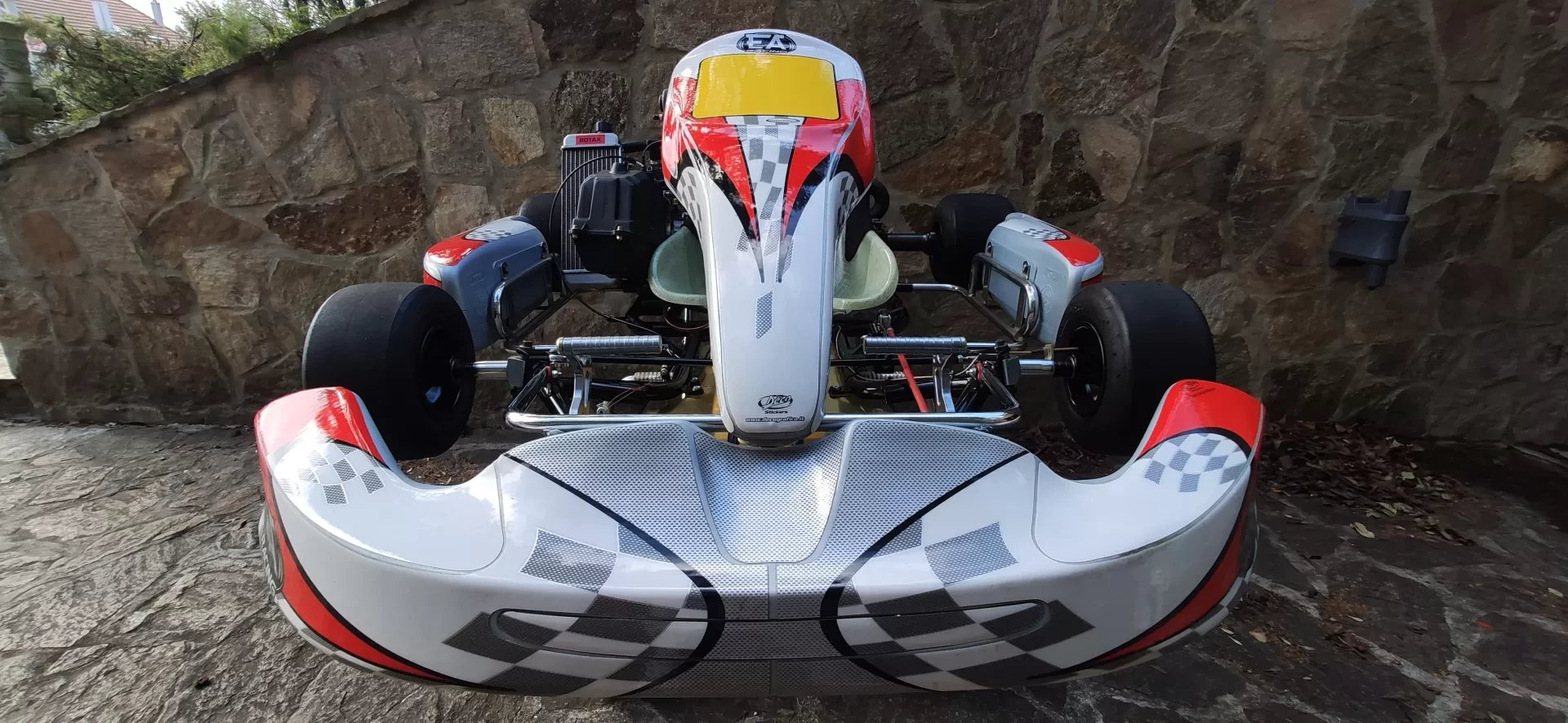 Karting competition leisure Rotax Max 125 GMD EA Racing with Alfano Pro