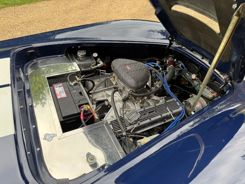 Cobra de Pilgrim Motorsports, 4.2 V8