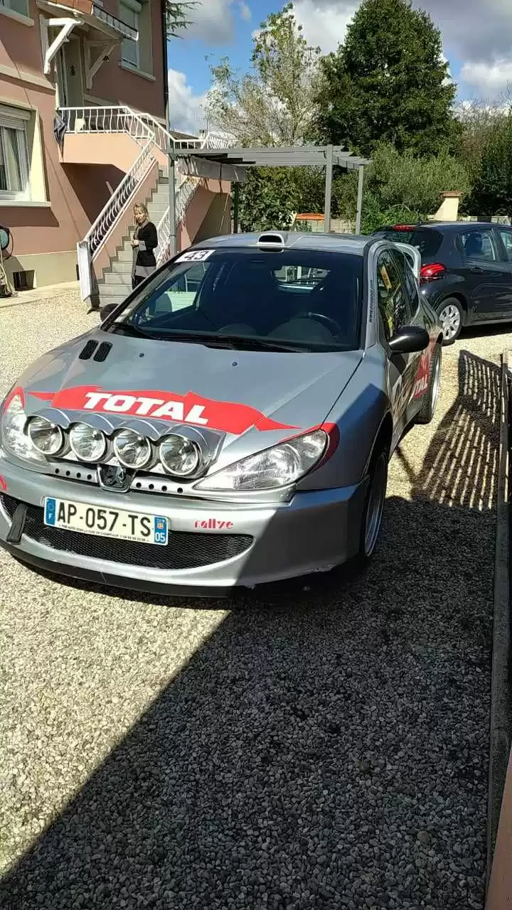 206 S16 WRC replica