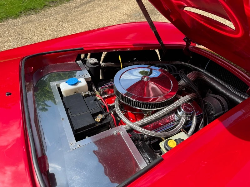 COBRA DE PILGRIM MOTORSPORTS, V8 3,5