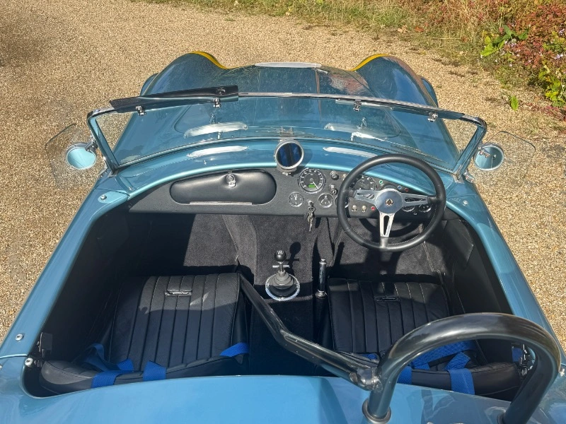 COBRA 289 FIA par HAWK