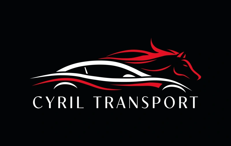 Independent driving service provider