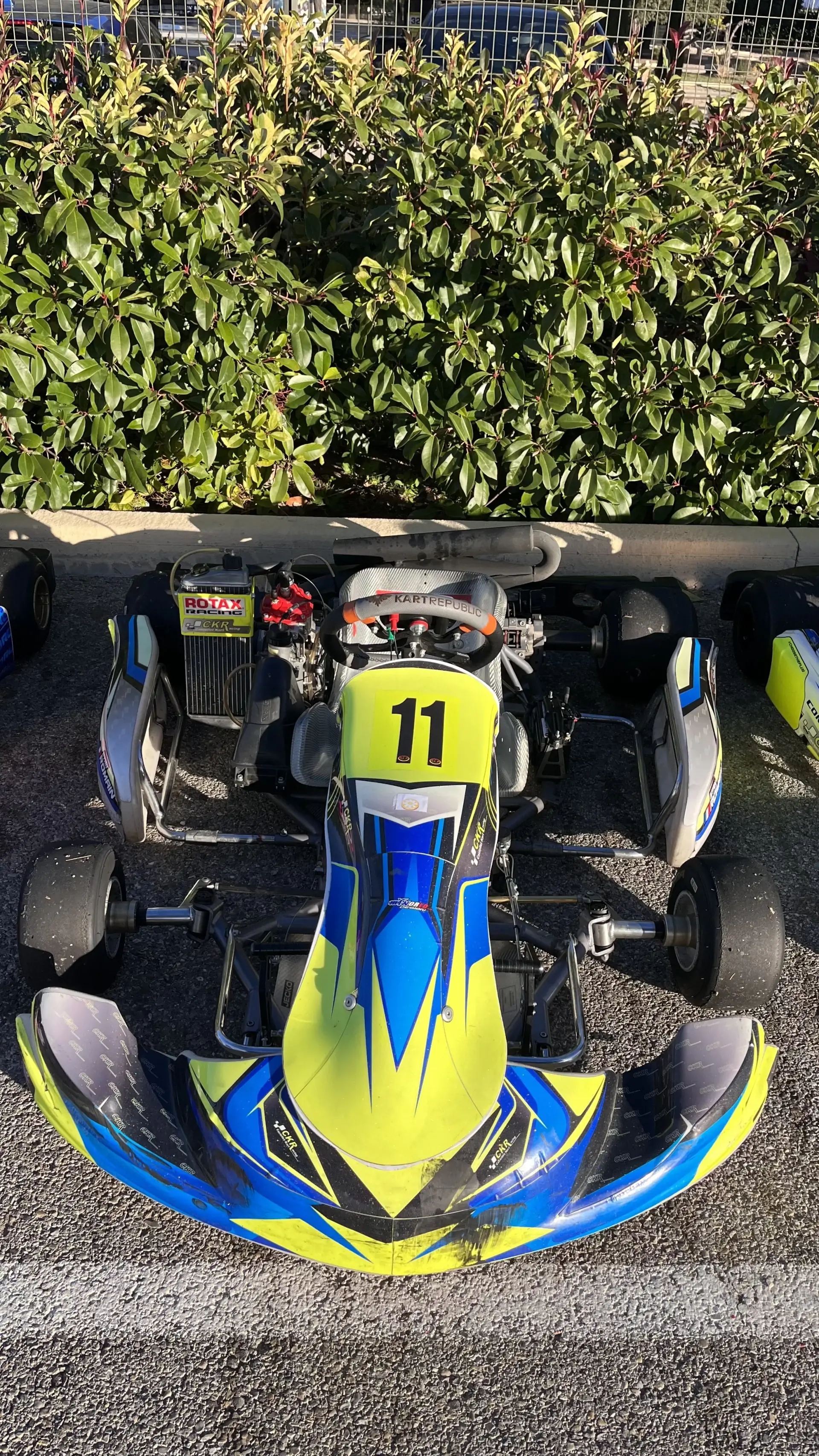 Rotax 125 competition kart + Alfano 6