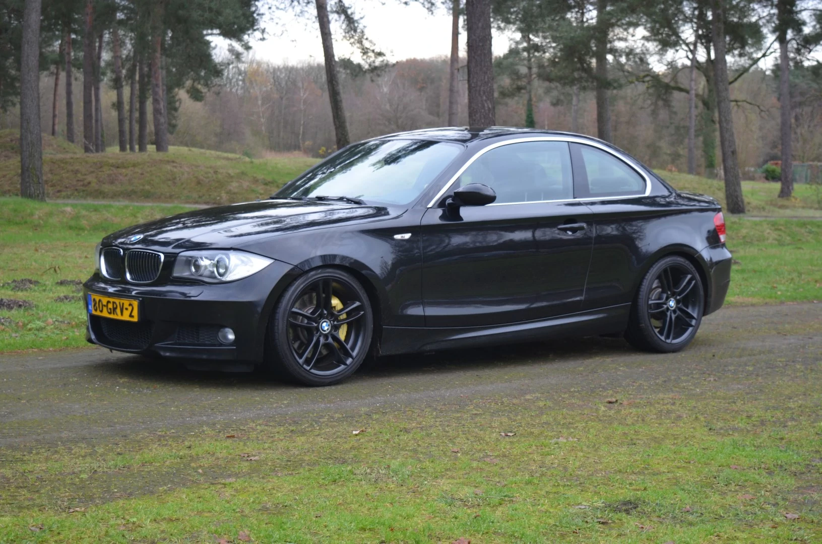 2008 BMW 125i