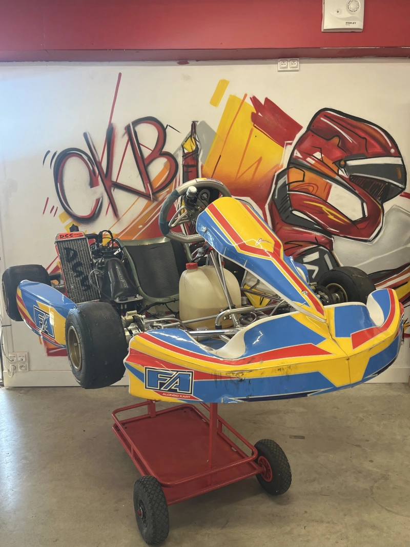 Karting Rotax Racing
