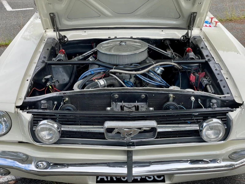 Mustang Tour Auto VHRS