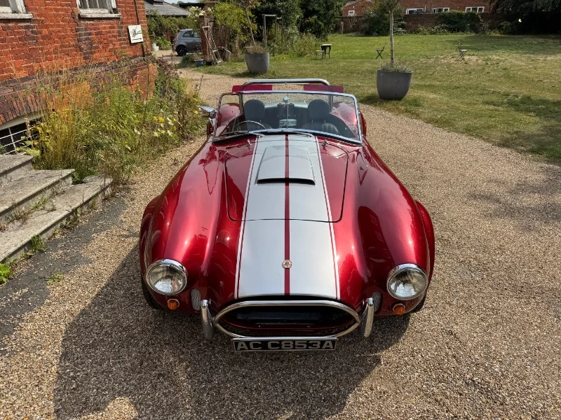 Cobra par pilgrim Motorsports 5.0 V8