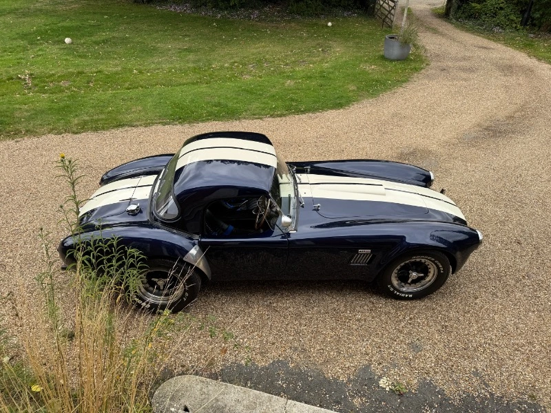 COBRA BY DAX 5.3 V8