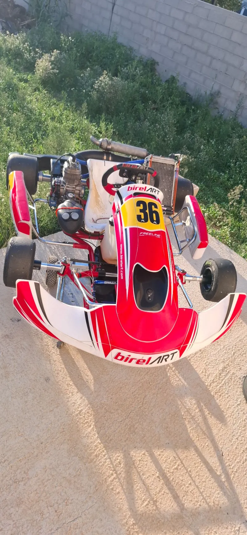 Birel Art x30 Karting