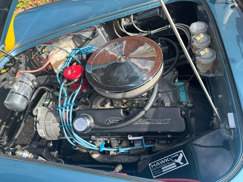 COBRA 289 FIA par HAWK