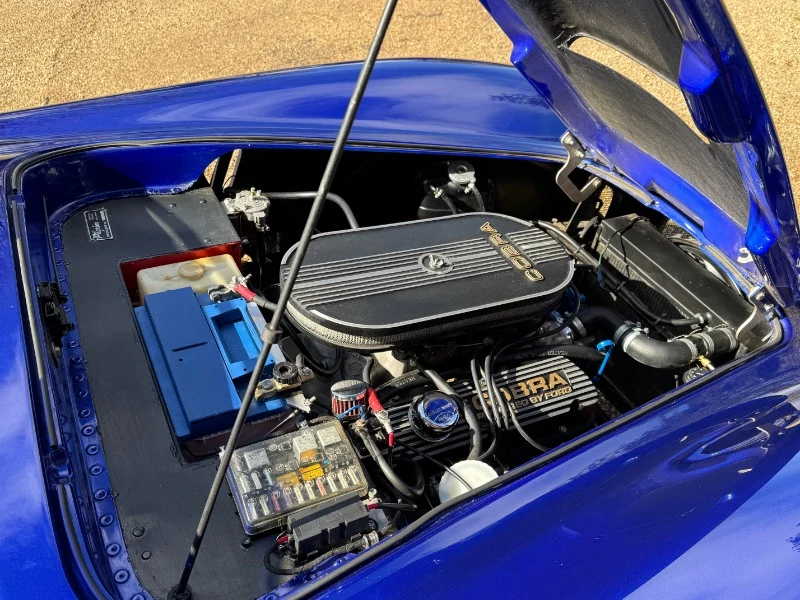 COBRA BY PILGRIM MOTORSPORTS