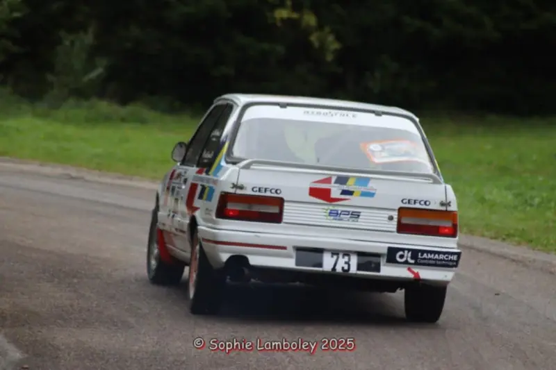 309 gti HCV and group A
