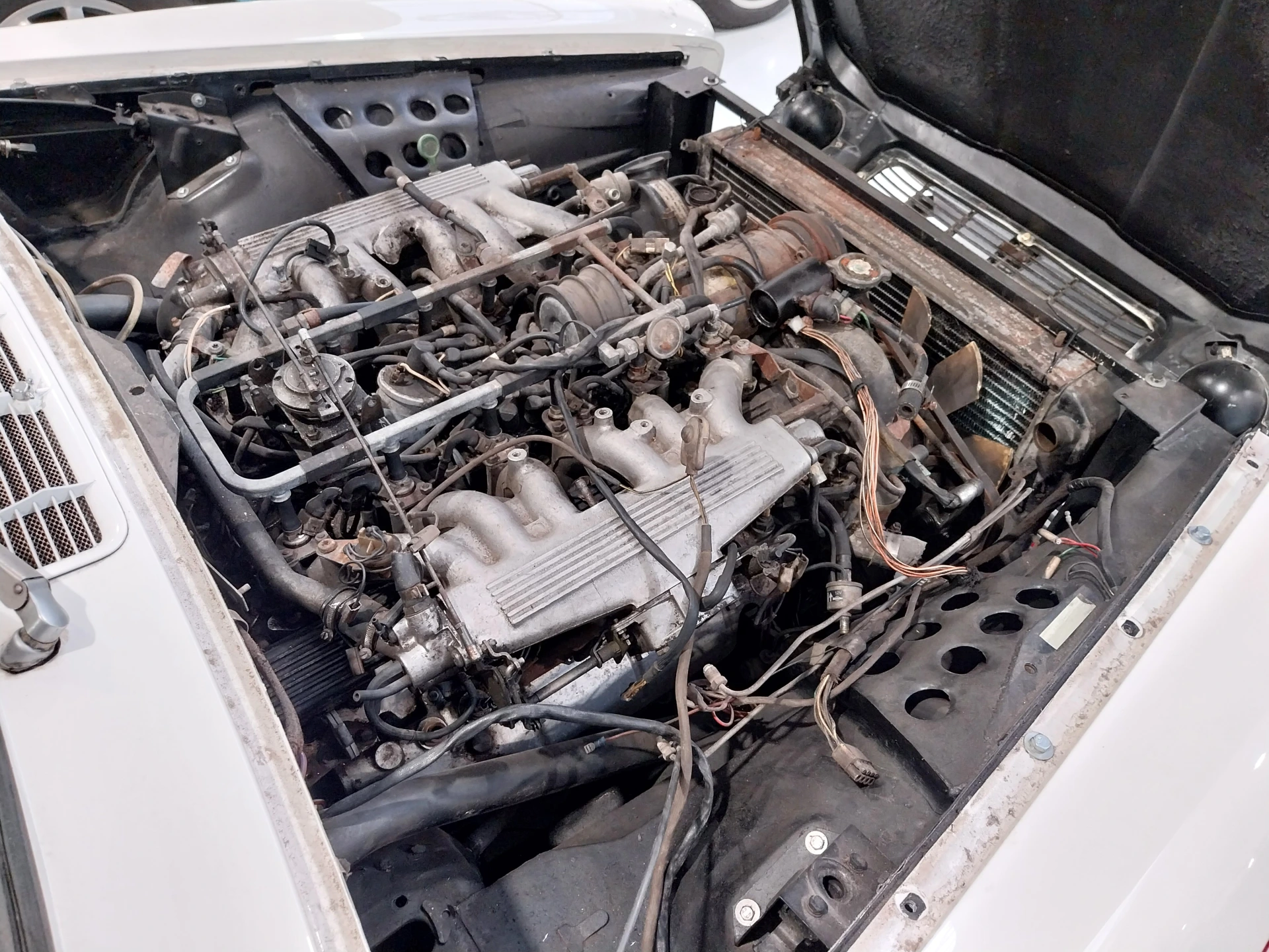 Jaguar XJC Broadspeed Replica Project – photo 3