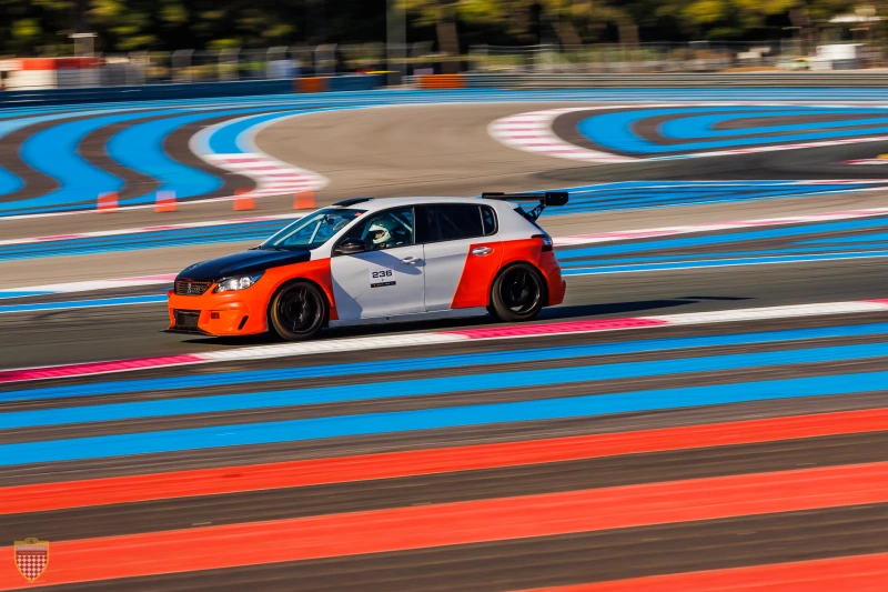 Peugeot 308 Racing Cup