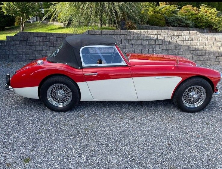 Austin Healey 100/6