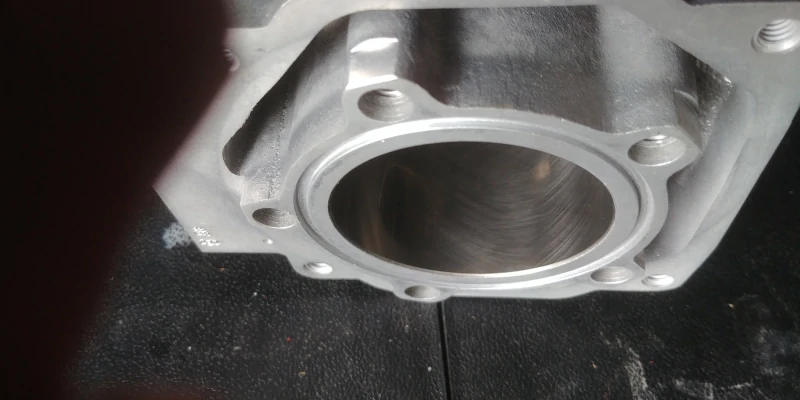 Rotax max evo cylinder