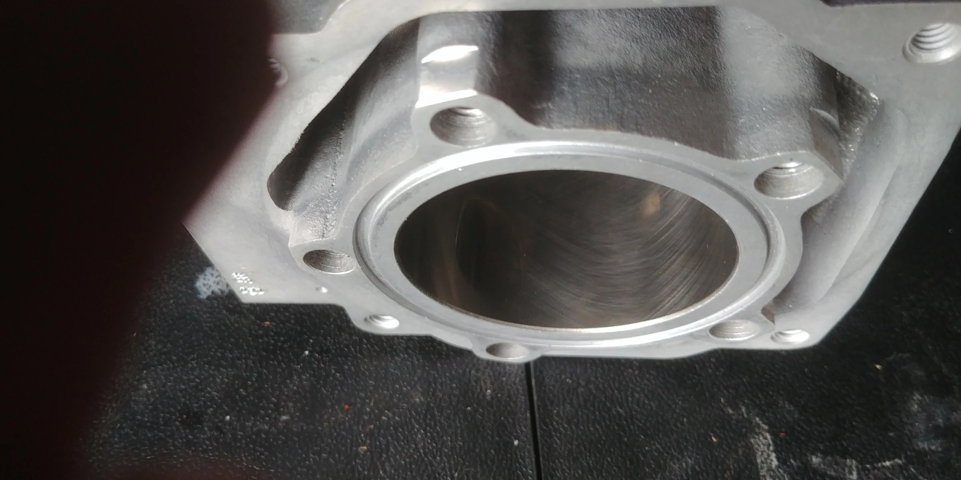 Rotax max evo cylinder