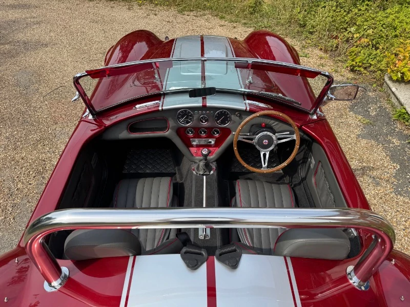 Cobra par pilgrim Motorsports 5.0 V8