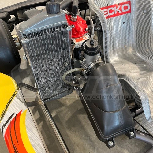 Used Kart Republic + ROTAX NATIONAL (125 sbv) – photo 3
