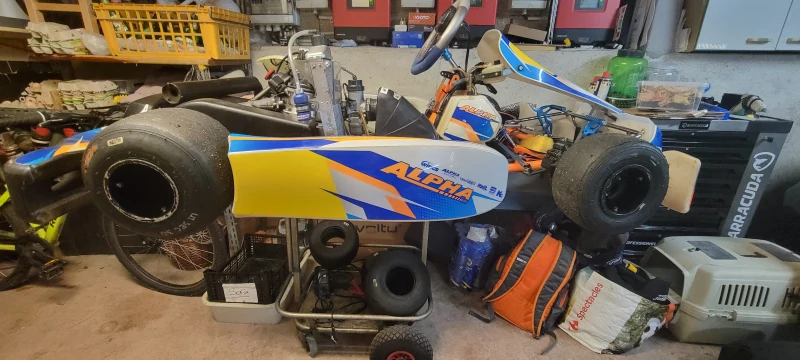 Karting 125 2-stroke rotax max