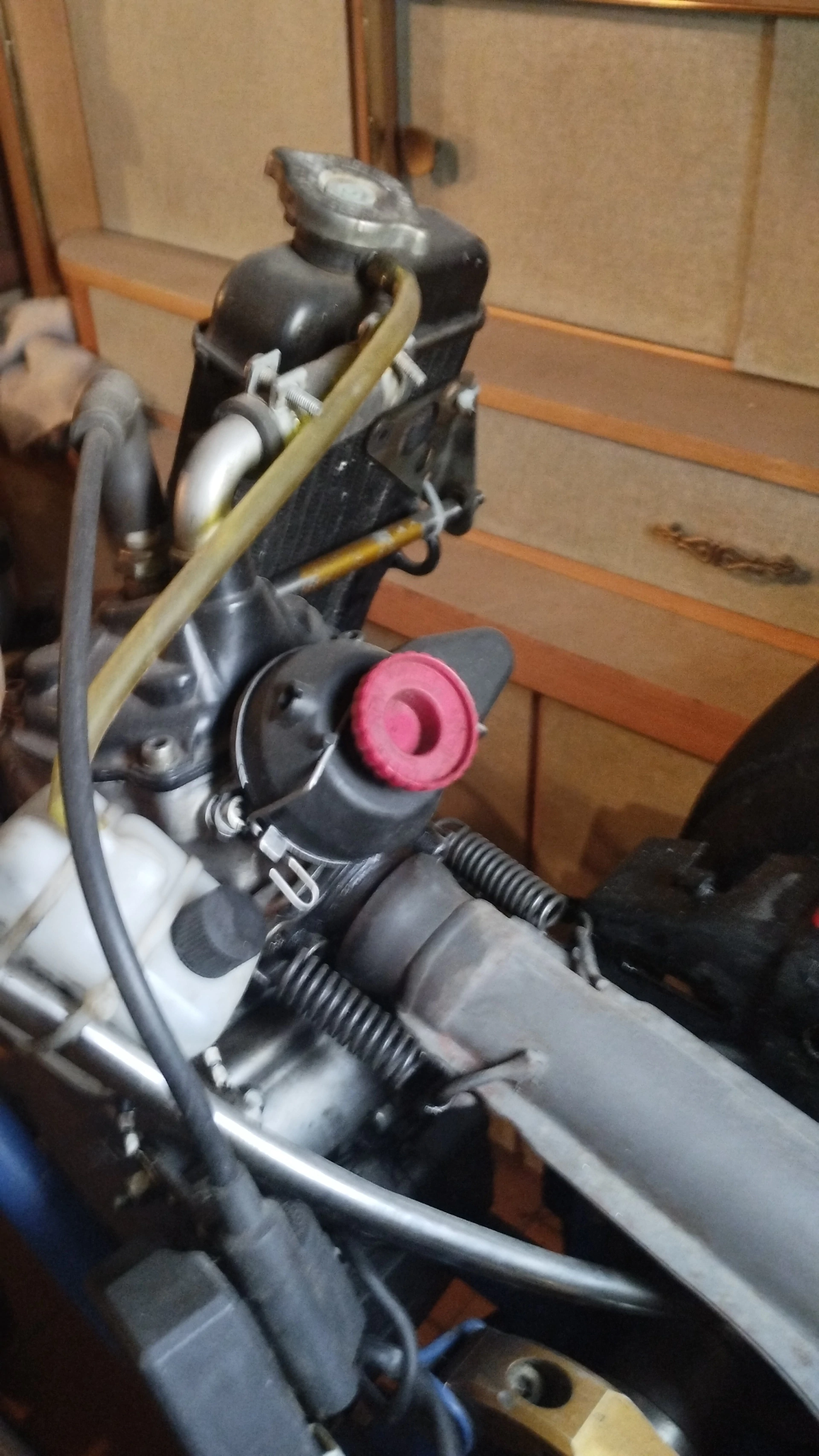 Karting rotax 125 max