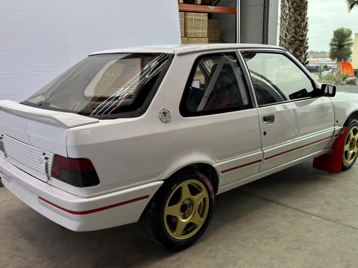 Peugeot 309 16S, Group A (small class) / FIA PTH – photo 2