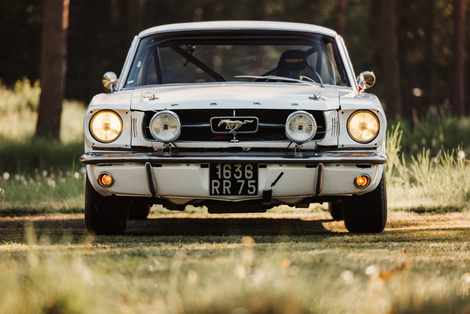 1965 Ford Mustang Race Car – photo 2