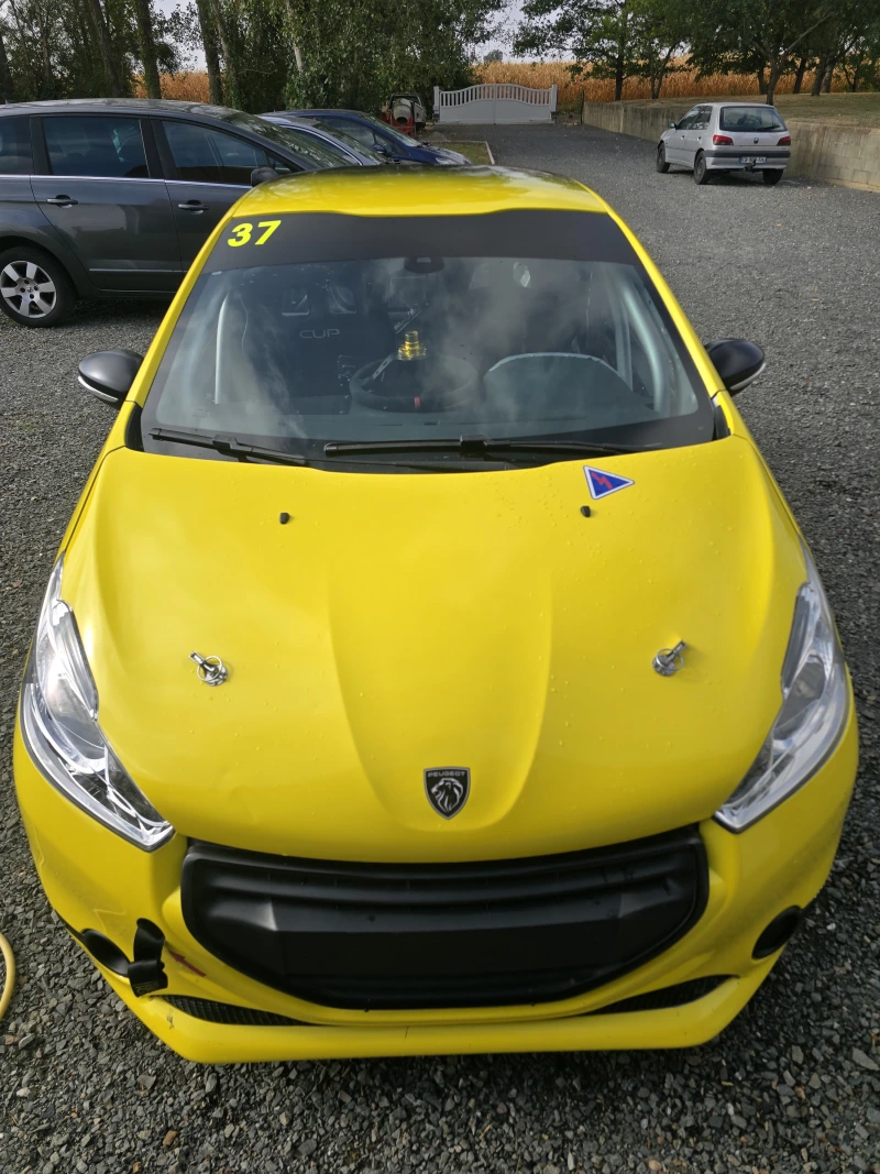 Peugeot 208 with a 206 RC Group N F2000 engine